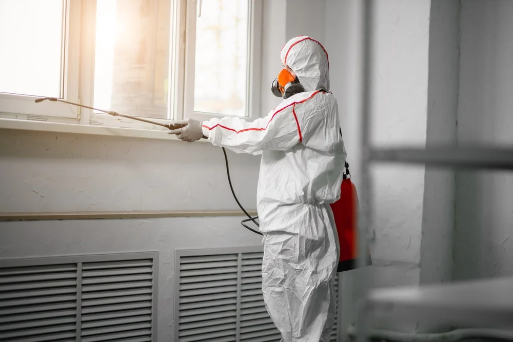 Professional mold remediation services in Pleasant Hill, MO